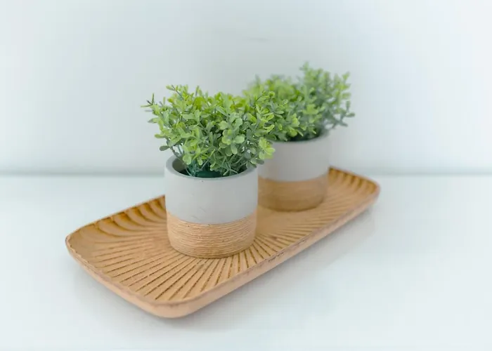 Apartamento Antiga Adega *